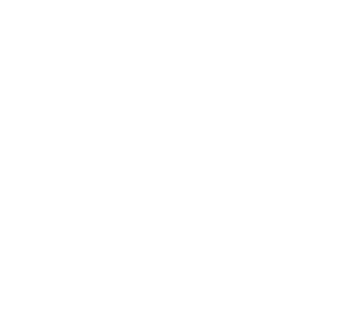 Trinetra Logo